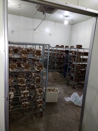 시금치6781님의 12월 내 작물 자랑하기 · 참여글 작성글 사진