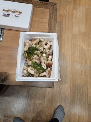 시금치6781님의 12월 내 작물 자랑하기 · 참여글 작성글 사진