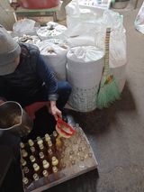 팜모닝 12월 내 작물 자랑하기·참여글 게시글 이미지