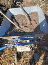 팜모닝 자유주제·자유게시판 게시글 이미지