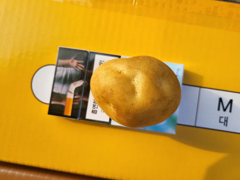 조범호님의 장터 판매 상품 [감자 종자 팝니다.] 첨부 사진