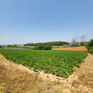 조범호님의 작성글 사진