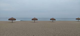 둥이농장(김준태)님의 자유주제 · 자유게시판 작성글 사진