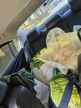 팜모닝 12월 내 작물 자랑하기·참여글 게시글 이미지