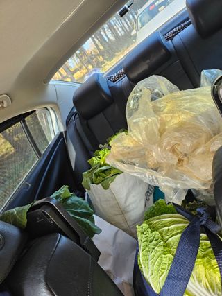 박주연님의 12월 내 작물 자랑하기 · 참여글 작성글 사진