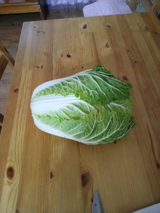 박주연님의 12월 내 작물 자랑하기 · 참여글 작성글 사진