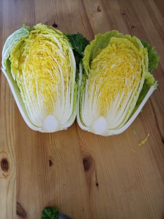 박주연님의 12월 내 작물 자랑하기 · 참여글 작성글 사진