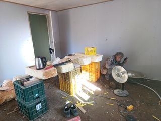 오영도님의 자유주제 · 자유게시판 작성글 사진