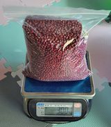 팜모닝 · 게시글 이미지