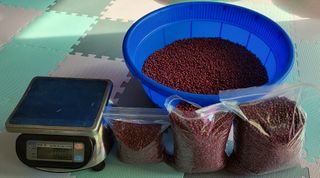 김중언님의 작성글 사진