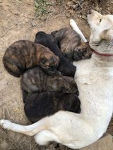 팜모닝 우리동네·무료나눔 게시글 이미지