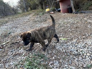 산희농원님의 우리동네 · 무료나눔 작성글 사진