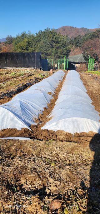 우철28268HQ님의 12월 내 작물 자랑하기 · 참여글 작성글 사진