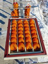 팜모닝 12월 내 작물 자랑하기·참여글 게시글 이미지