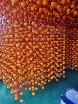 사과와곶감님의 12월 내 작물 자랑하기 · 참여글 작성글 사진