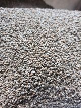 팜모닝 · 게시글 이미지