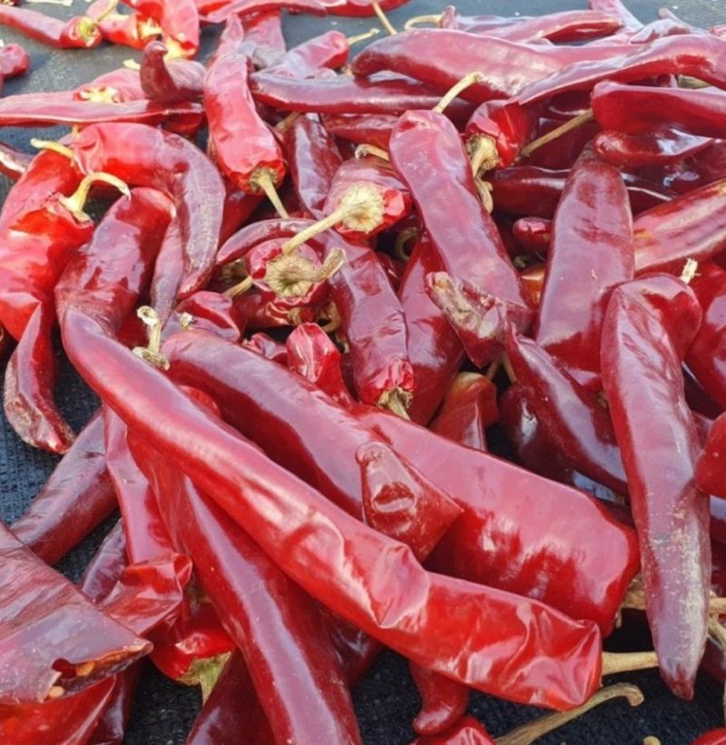 장터 상품 [태양초 고추가루 할인행사 5근 80.000] 썸네일