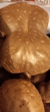 팜모닝 12월 내 작물 자랑하기·참여글 게시글 이미지