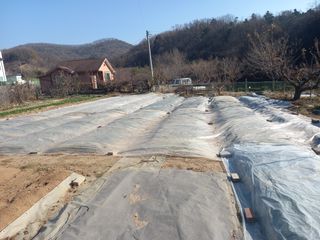 땅땅님의 12월 내 작물 자랑하기 · 참여글 작성글 사진