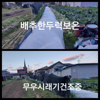 신토불이님의 12월 내 작물 자랑하기 · 참여글 작성글 사진