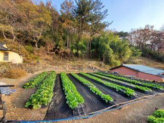 김윤철님의 12월 내 작물 자랑하기 · 참여글 작성글 사진