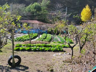 김윤철님의 12월 내 작물 자랑하기 · 참여글 작성글 사진