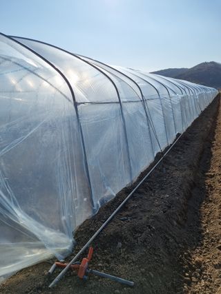 믿고사는농원-송미경님의 12월 내 작물 자랑하기 · 참여글 작성글 사진