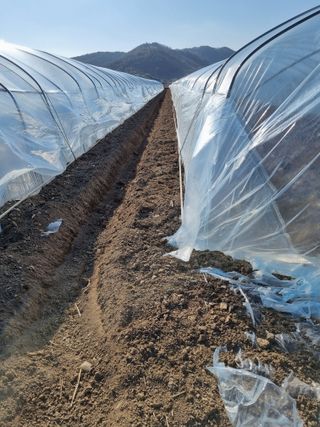 믿고사는농원-송미경님의 12월 내 작물 자랑하기 · 참여글 작성글 사진