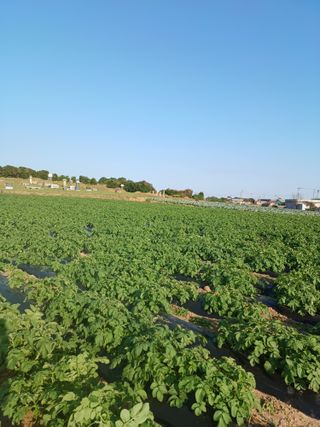 결단이님의 12월 내 작물 자랑하기 · 참여글 작성글 사진