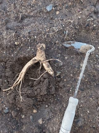 희야님의 자유주제 · 사진전 작성글 사진