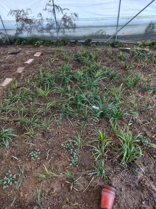 희야님의 자유주제 · 사진전 작성글 사진