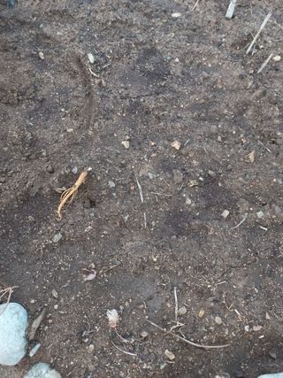 희야님의 자유주제 · 사진전 작성글 사진