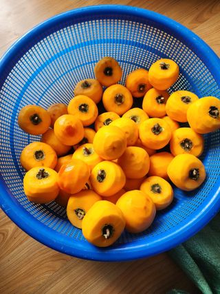 최철규님의 12월 내 작물 자랑하기 · 참여글 작성글 사진