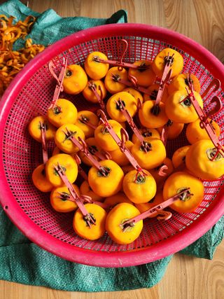 최철규님의 12월 내 작물 자랑하기 · 참여글 작성글 사진