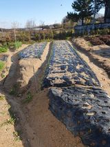 팜모닝 12월 내 작물 자랑하기·참여글 게시글 이미지