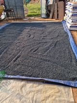 팜모닝 12월 내 작물 자랑하기·참여글 게시글 이미지