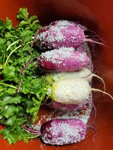 팜모닝 자유주제·자유게시판 게시글 이미지