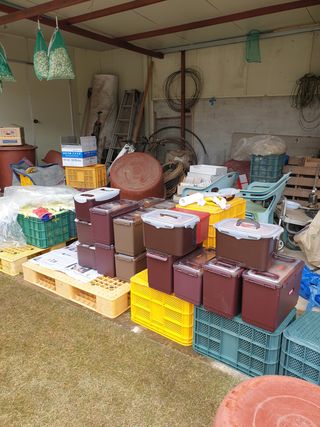 양파5749님의 자유주제 · 자유게시판 작성글 사진