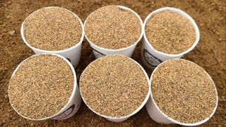 조병대님의 12월 내 작물 자랑하기 · 참여글 작성글 사진