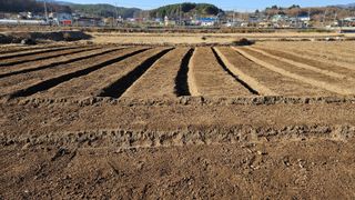 조병대님의 12월 내 작물 자랑하기 · 참여글 작성글 사진