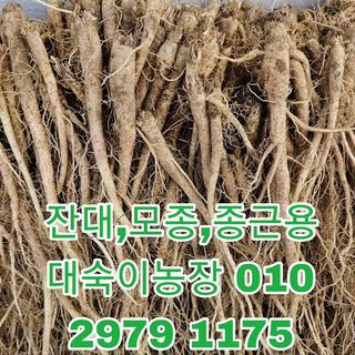 조병대님의 12월 내 작물 자랑하기 · 참여글 작성글 사진