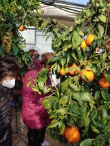 팜모닝 12월 내 작물 자랑하기·참여글 게시글 이미지