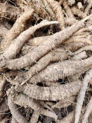 윤미선(농경채인증님의 12월 내 작물 자랑하기 · 참여글 작성글 사진