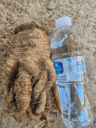 윤미선(농경채인증님의 12월 내 작물 자랑하기 · 참여글 작성글 사진