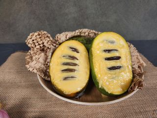 벧엘포포농원님의 12월 내 작물 자랑하기 · 참여글 작성글 사진