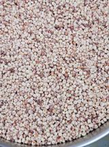 팜모닝 12월 내 작물 자랑하기·참여글 게시글 이미지