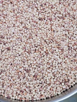 초록봉님의 12월 내 작물 자랑하기 · 참여글 작성글 사진