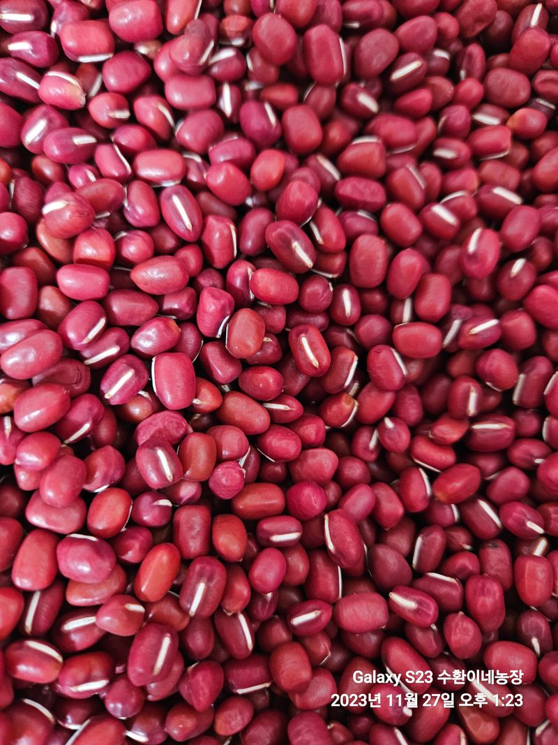 장터 상품 [[판매완료] 팥 판매] 썸네일