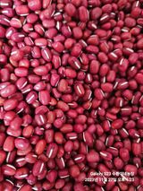 팜모닝 · 게시글 이미지