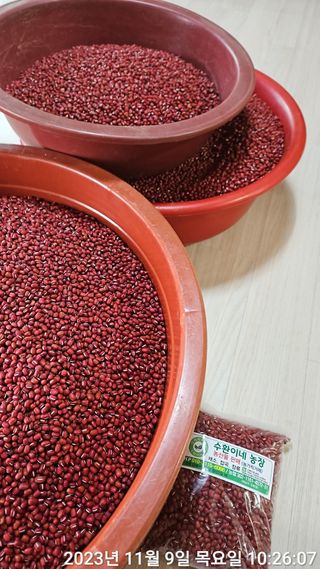 수환이네농장님의 작성글 사진